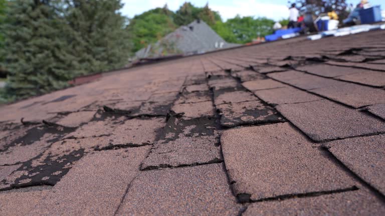 Emergency Roof Repair in Levittown, PA